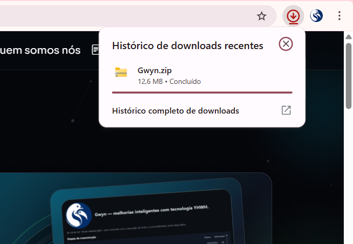 Tela de download da ferramenta Gwyn
